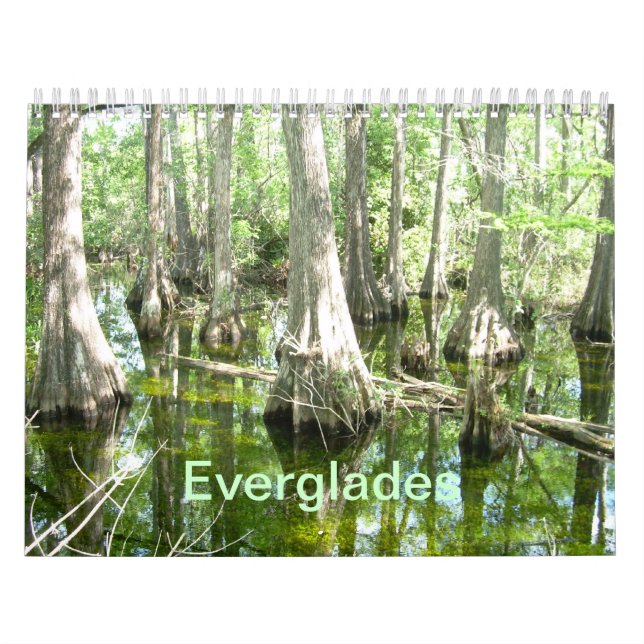 Everglades Wall Calendar Kalender (Omslag)