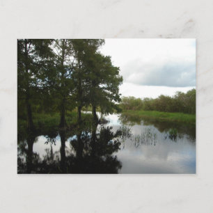 Everglades Waterway Vykort