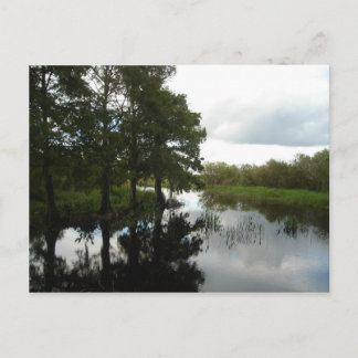 Everglades Waterway Vykort