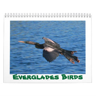 Evergladesfågelkalender Kalender