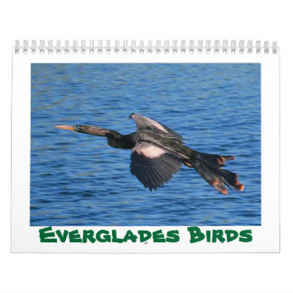 Evergladesfågelkalender Kalender