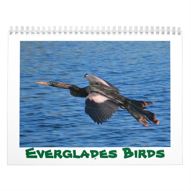 Evergladesfågelkalender Kalender (Omslag)