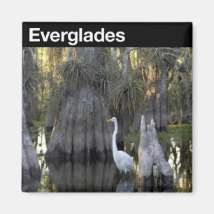 Evergladesnationalpark Magnet