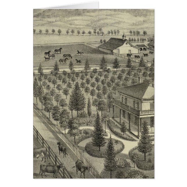 Evergreen Ave Farm Hälsningskort (Framsidan)