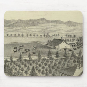 Evergreen Ave Farm Musmatta