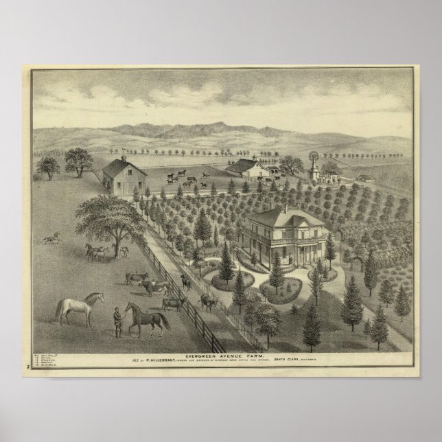 Evergreen Ave Farm Poster (Framsidan)