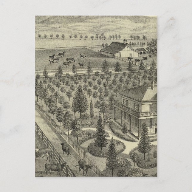 Evergreen Ave Farm Vykort (Framsida)