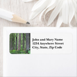 Evergreen Conifer Forest Returadress Etikett