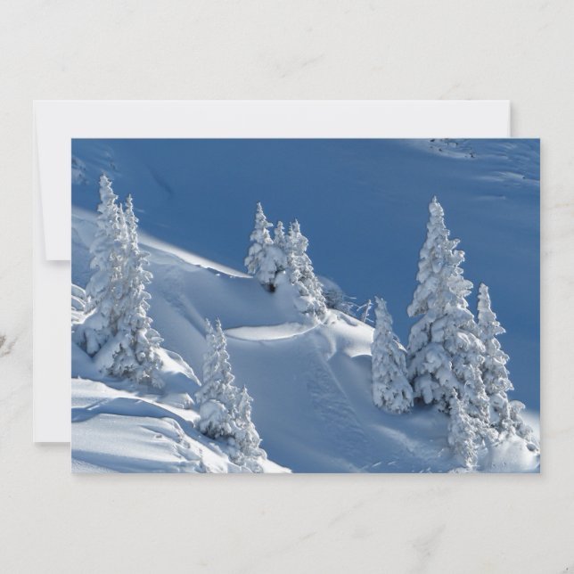 Evergreen Firs täckt med Winter Snö (Framsida)