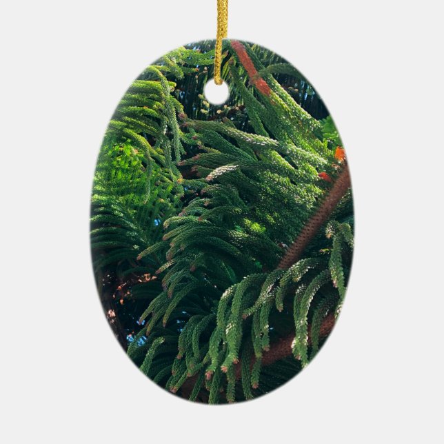 Evergreen gräs-träd conifer julgransprydnad keramik (Framsidan)