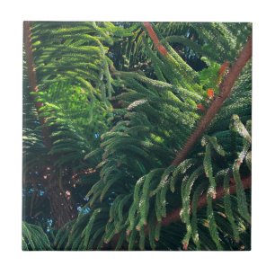 Evergreen gräs-träd conifer kakelplatta