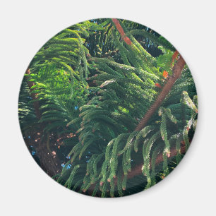 Evergreen gräs-träd conifer magnet
