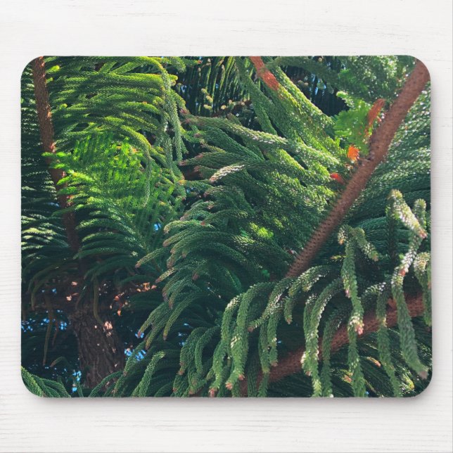 Evergreen gräs-träd conifer musmatta (Framsidan)
