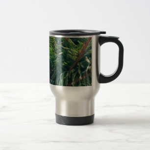 Evergreen gräs-träd conifer resemugg