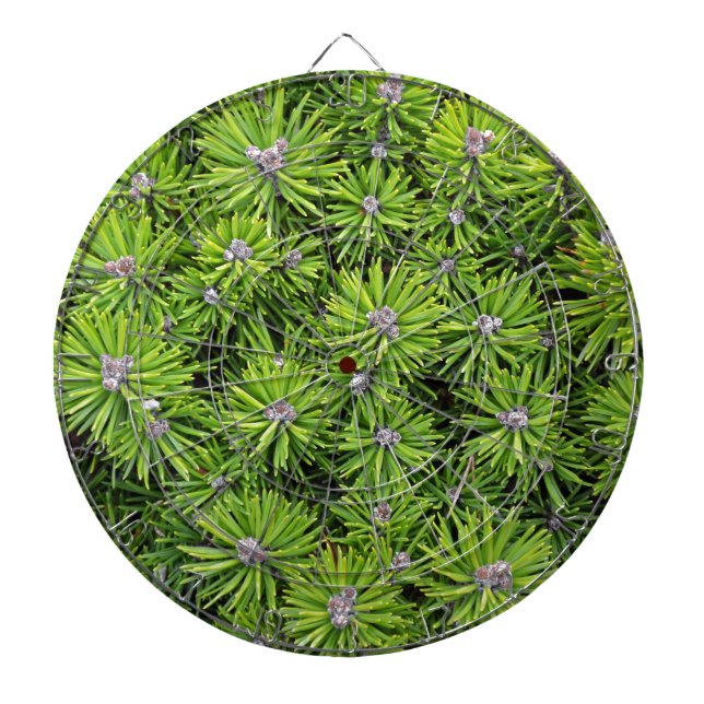 Evergreen grenar darttavla (Framsidan)