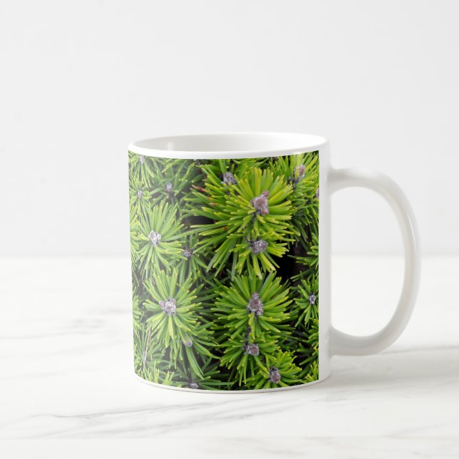 Evergreen grenar kaffemugg (Höger)