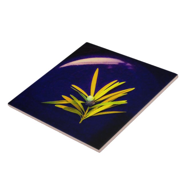 Evergreen on Blue Ceramic Tile Kakelplatta (Sidan)