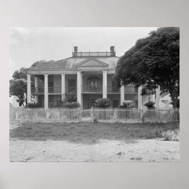 Evergreen Plantation Poster (Framsidan)