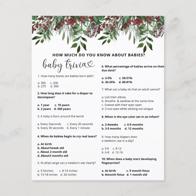 Evergreen Snö Baby Trivia | Barnstödsspel (Framsida)