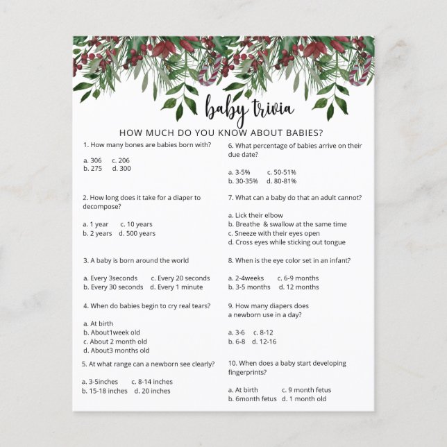 Evergreen Snö Baby Trivia | Barnstödsspel (Framsida)