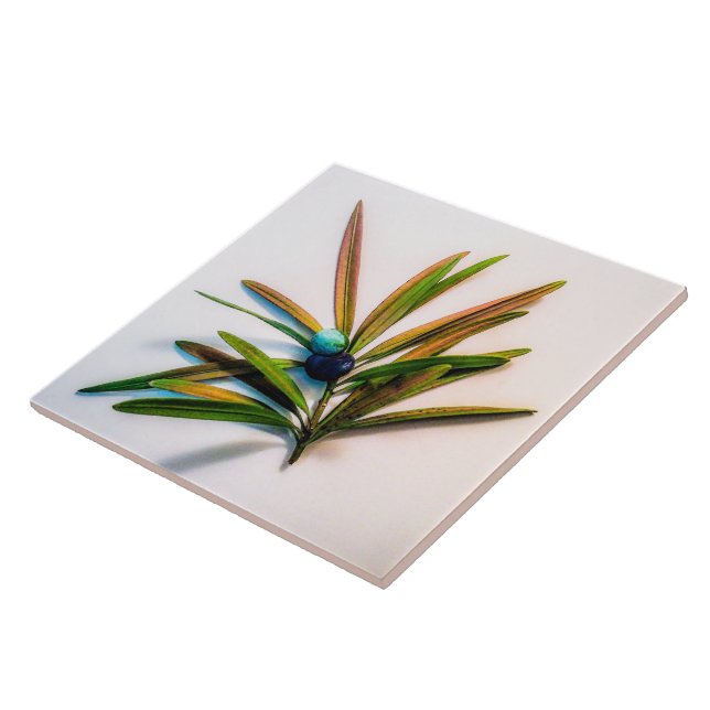 Evergreen Sprig med Berries Tile Kakelplatta (Sidan)