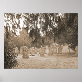 Evergreens And Gravestones Poster