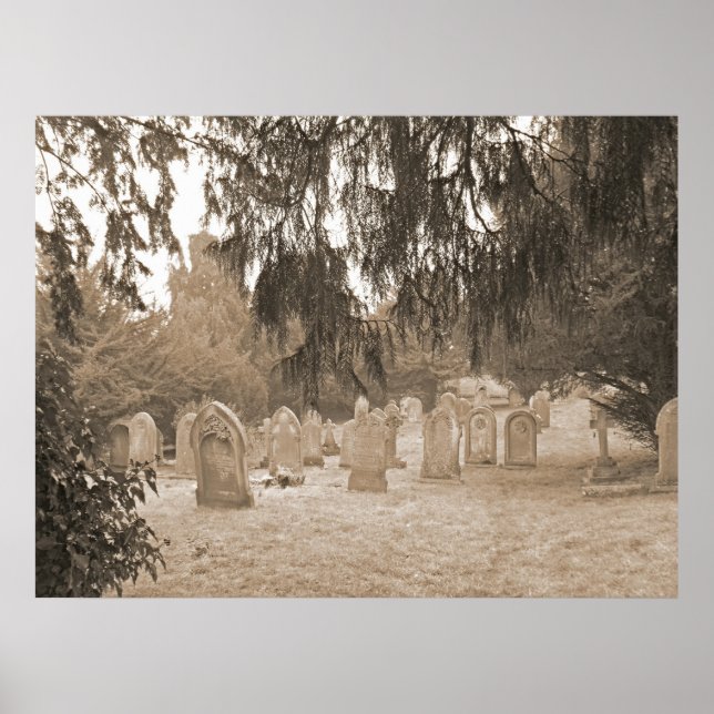 Evergreens And Gravestones Poster (Framsidan)