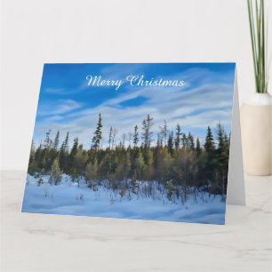 Evergreens rad - tom kort