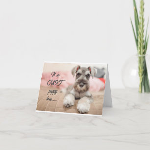 EVERLASTING, INTE PUPPY KÄRLEK FÖR DIG!!!!!! KORT