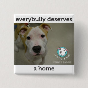 Everybully - simon knapp