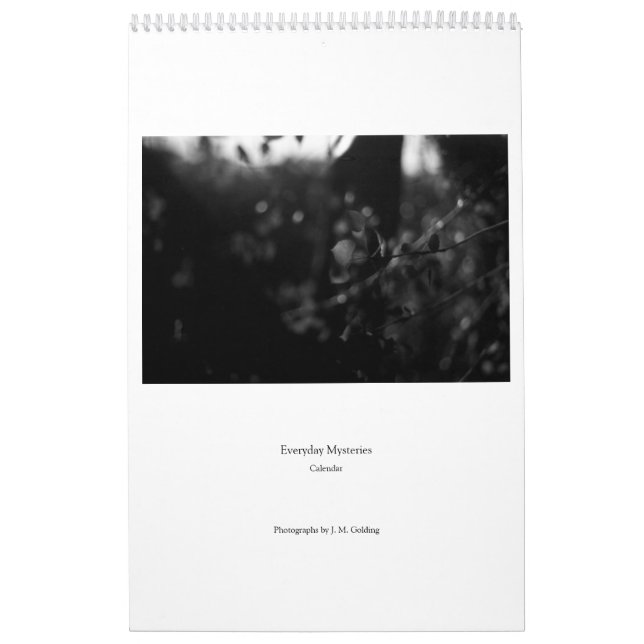 Everyday Mysteries Calendar Kalender (Omslag)
