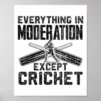 Everything In Moderation Funny Graphic For Cricket Poster
