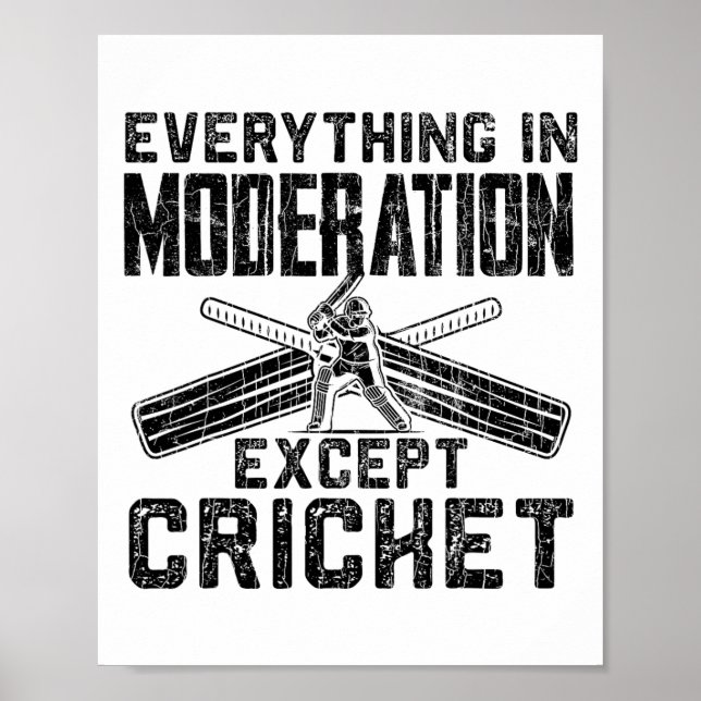 Everything In Moderation Funny Graphic For Cricket Poster (Framsidan)