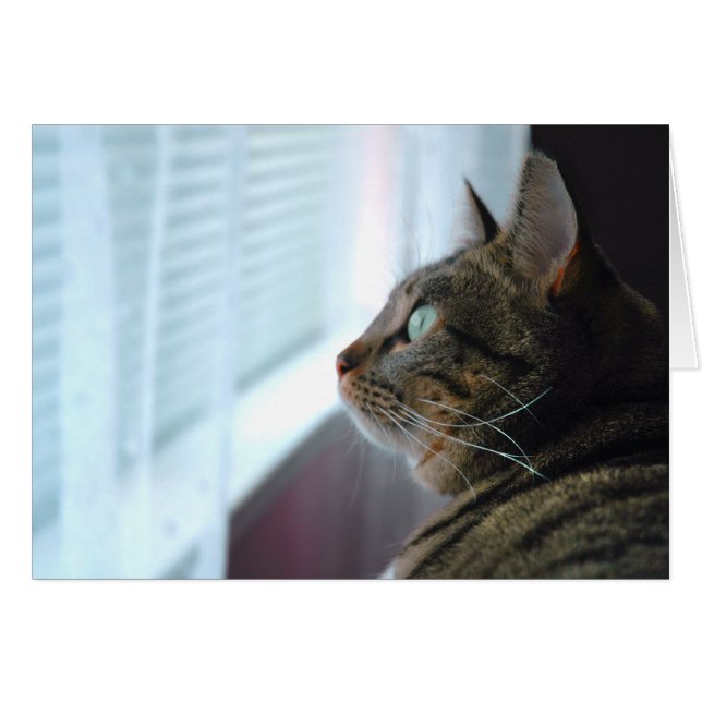 Evey i Kattunge överväger utanför Hälsningskort (Framsidan Horizontal)