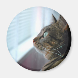 Evey i Kattunge överväger utanför Magnet