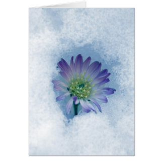 Evig II Hälsningskort