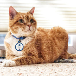 Evil Öga Måne Pet Tag Djurbricka