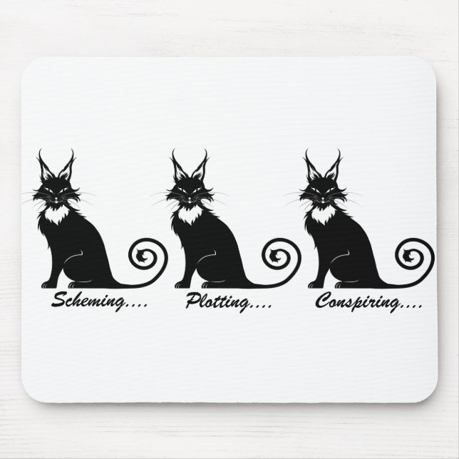 Evil Plotting Cat Trio Musmatta (Framsidan)