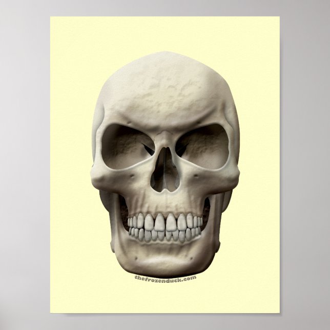 Evil Skull Poster (Framsidan)