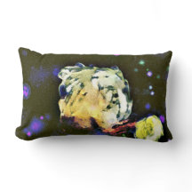 Evisionist: En kelestial resa