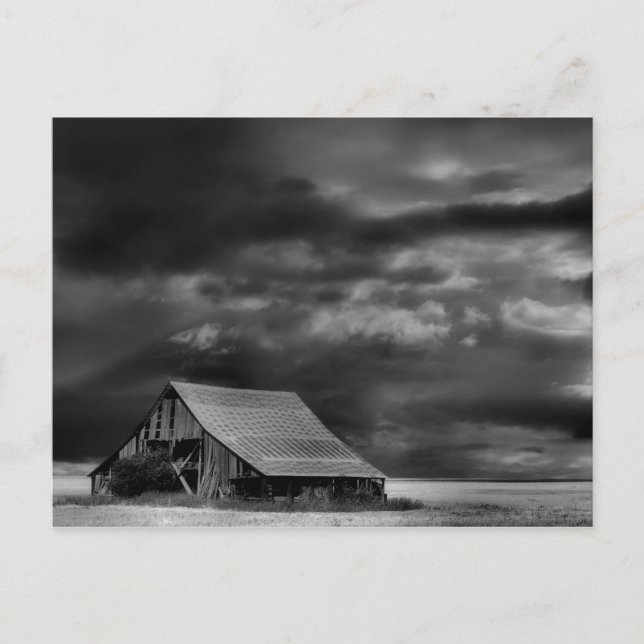 Evocative Beauty-kort Vykort (Framsida)