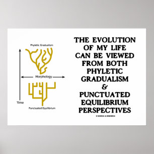 Evololution Phyletic Gradualism punktskatated Equi Poster
