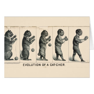 Evolution av encher hälsningskort