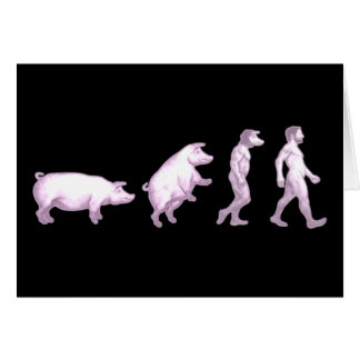 Evolution av grisar hälsningskort