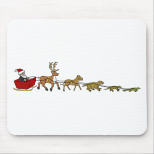 Evolution av jul musmatta
