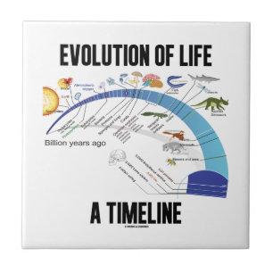 Evolution av liv en Timeline (biologi) Kakelplatta