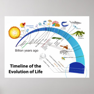 Evolution av liv på jordTimelinediagram Poster