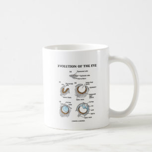 Evolution av ögat kaffemugg