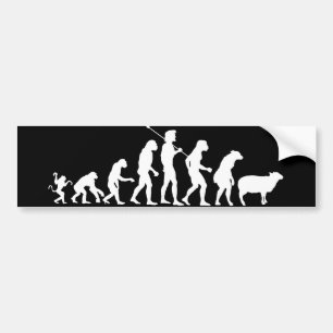 Evolution av samlas bildekalet bildekal