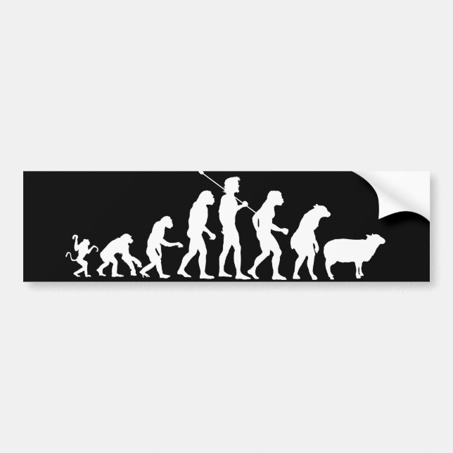 Evolution av samlas bildekalet bildekal (Framsidan)